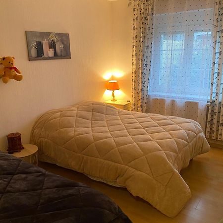 Au Coeur Des Vosges Apartment Laval-sur-Vologne Luaran gambar